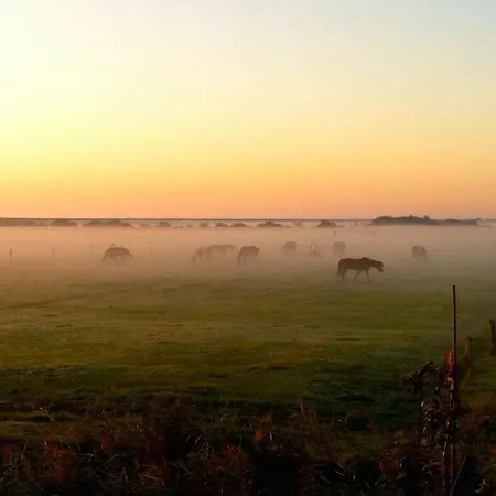 Dom wakacyjny Christel Modern Retreat *